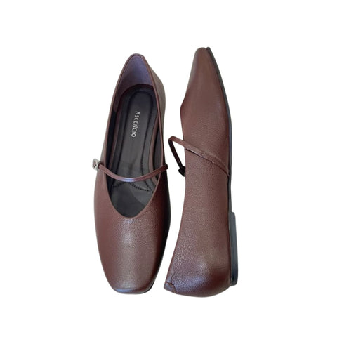 Flats Ascencio