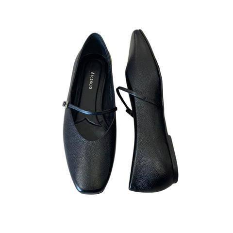 Flats Ascencio