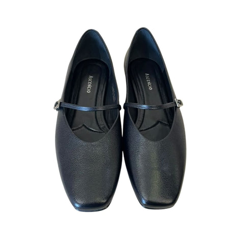 Flats Ascencio