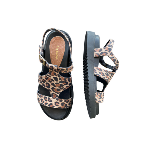 HUARACHE ASCENCIO 25351